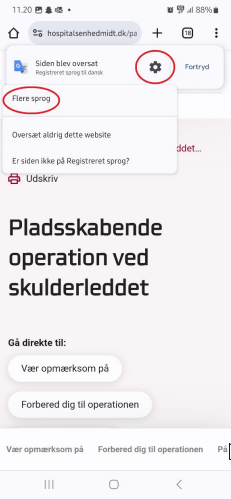 2. Tryk på ”Oversæt” 